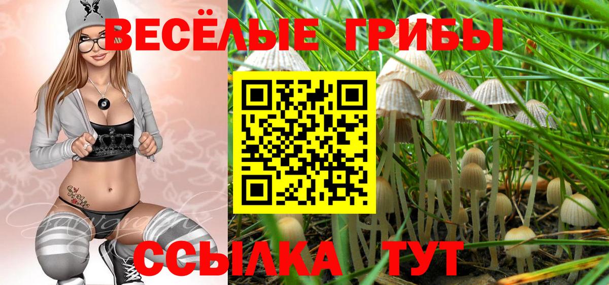 Ишимбай  как найти закладки  Вход с VPN  Галлюциногенные грибы Psilocybe 